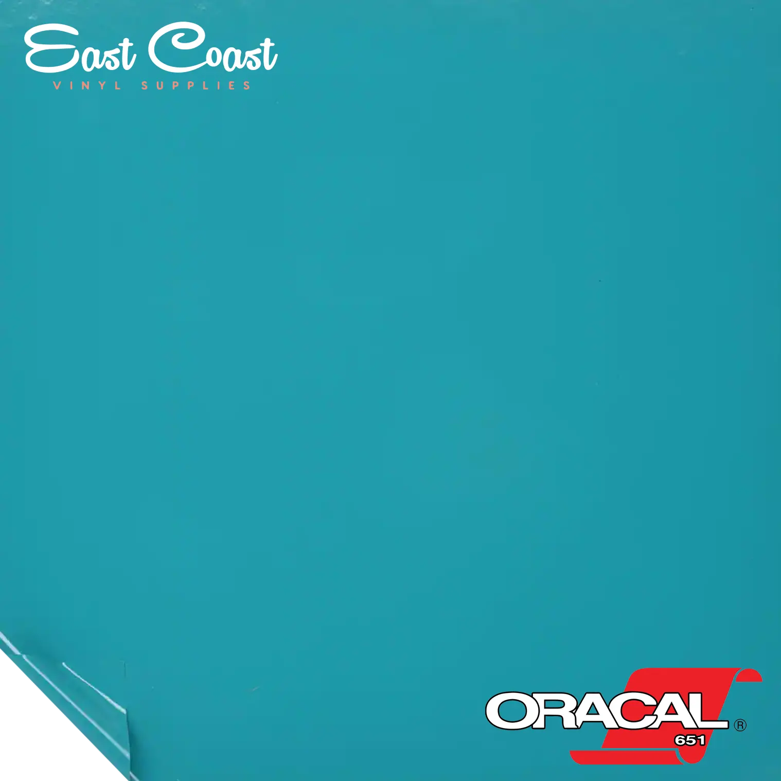 Turquoise Blue (066) Oracal 651 Vinyl - GLOSSY – East Coast Vinyl Supplies