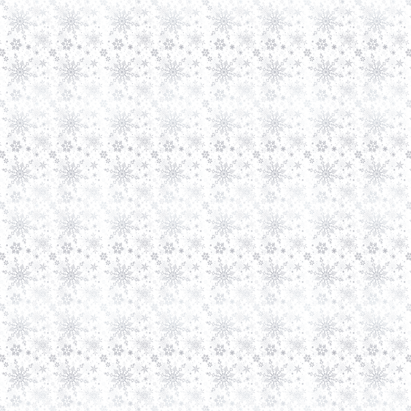 Silver Snowflakes on a White Background 001