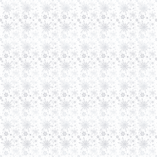 Flocons de neige argentés sur fond blanc 001