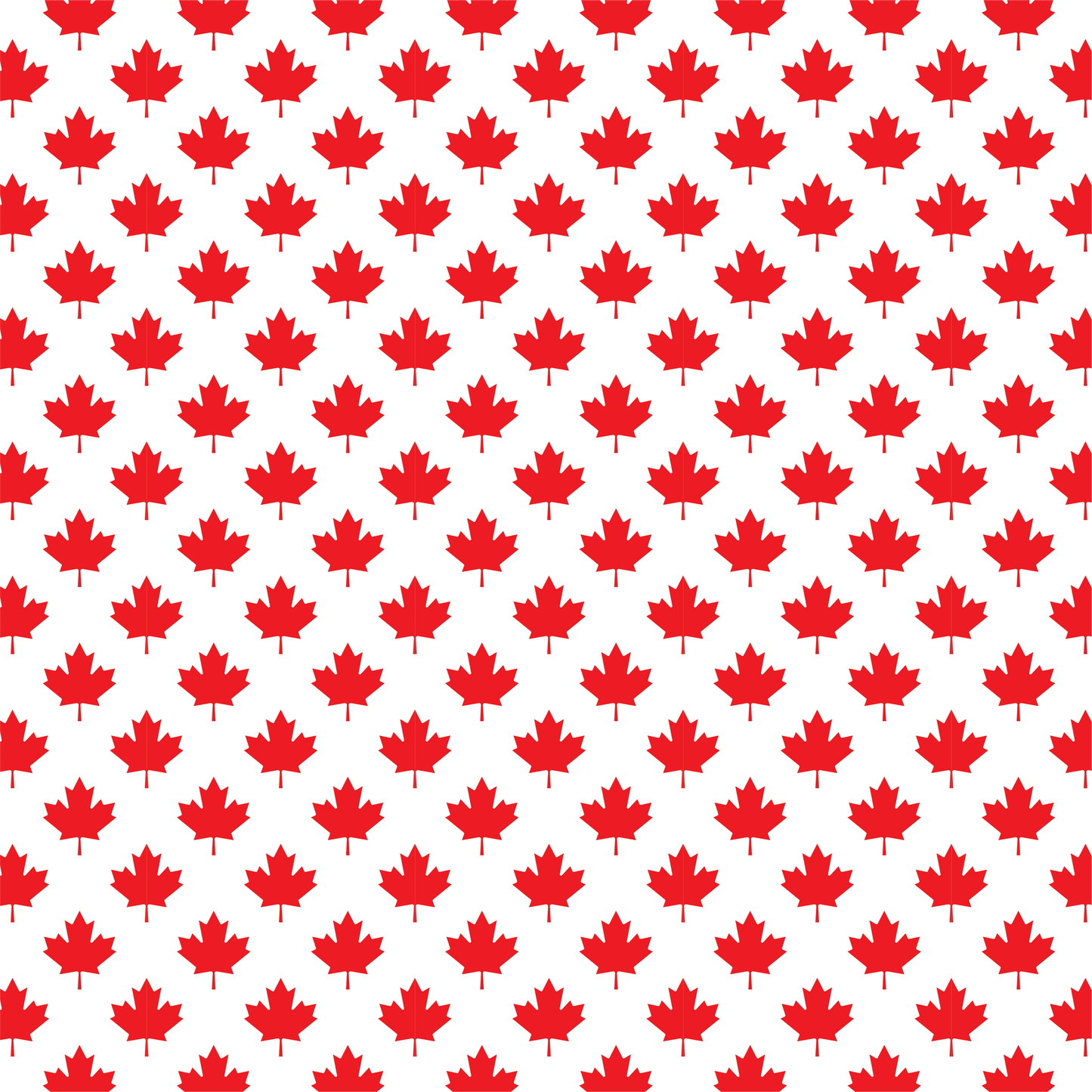 Fête du Canada - Feuilles d'érable rouge 001