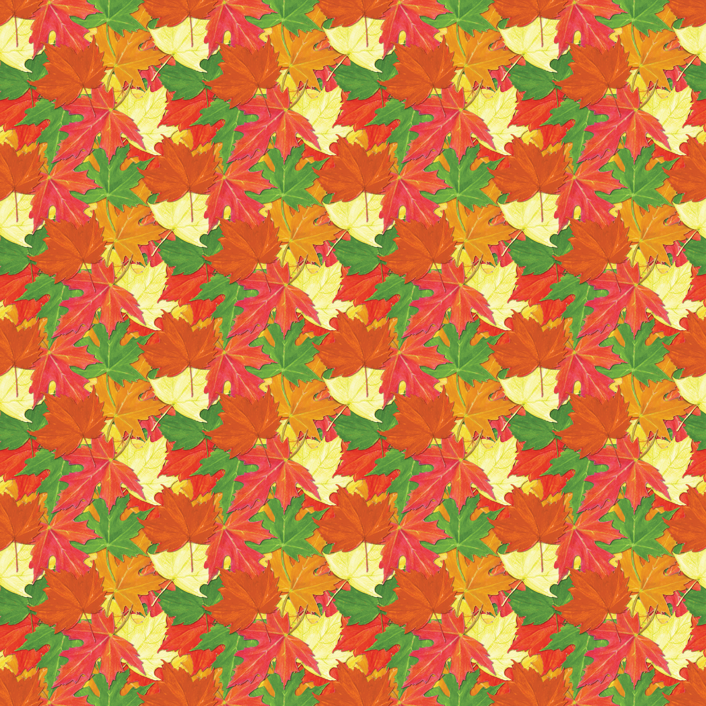 Autumn Leaves 003