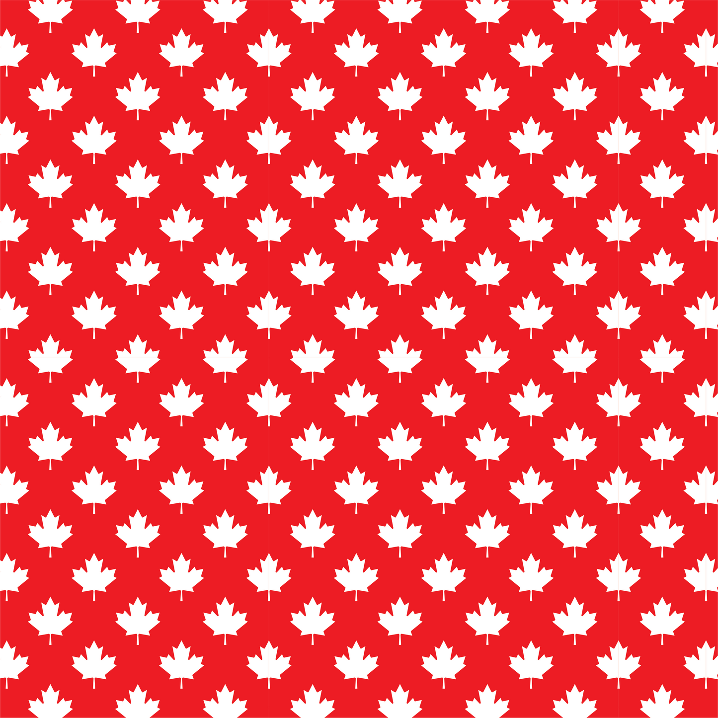 Fête du Canada - Feuilles d'érable blanches 004