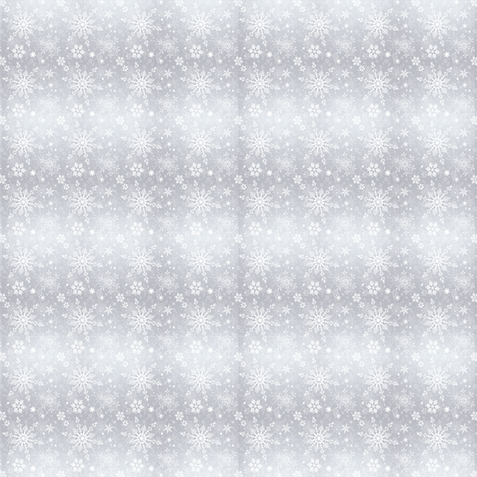 Flocons de neige blancs sur fond argenté 008