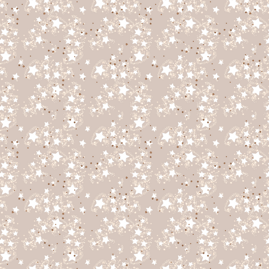 Noël blanc - Star Dust 009