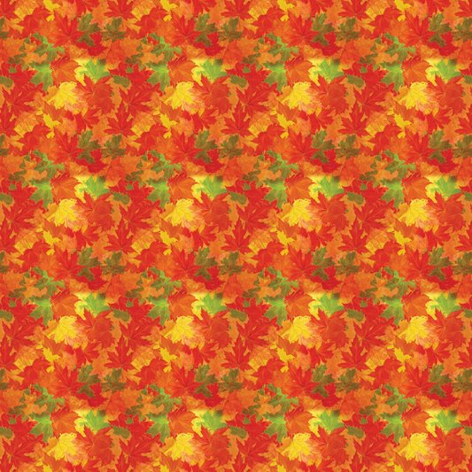 Autumn Leaves 010