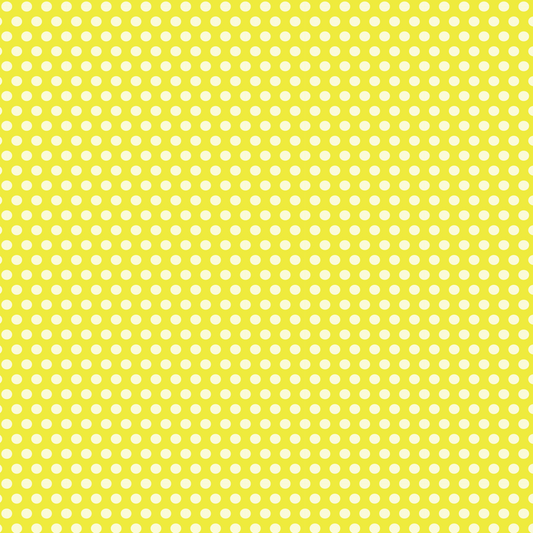 Chiot - Dalmatien jaune à grandes taches 023