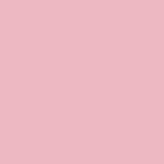 Carnation Pink (429) Oracal 631 Vinyl