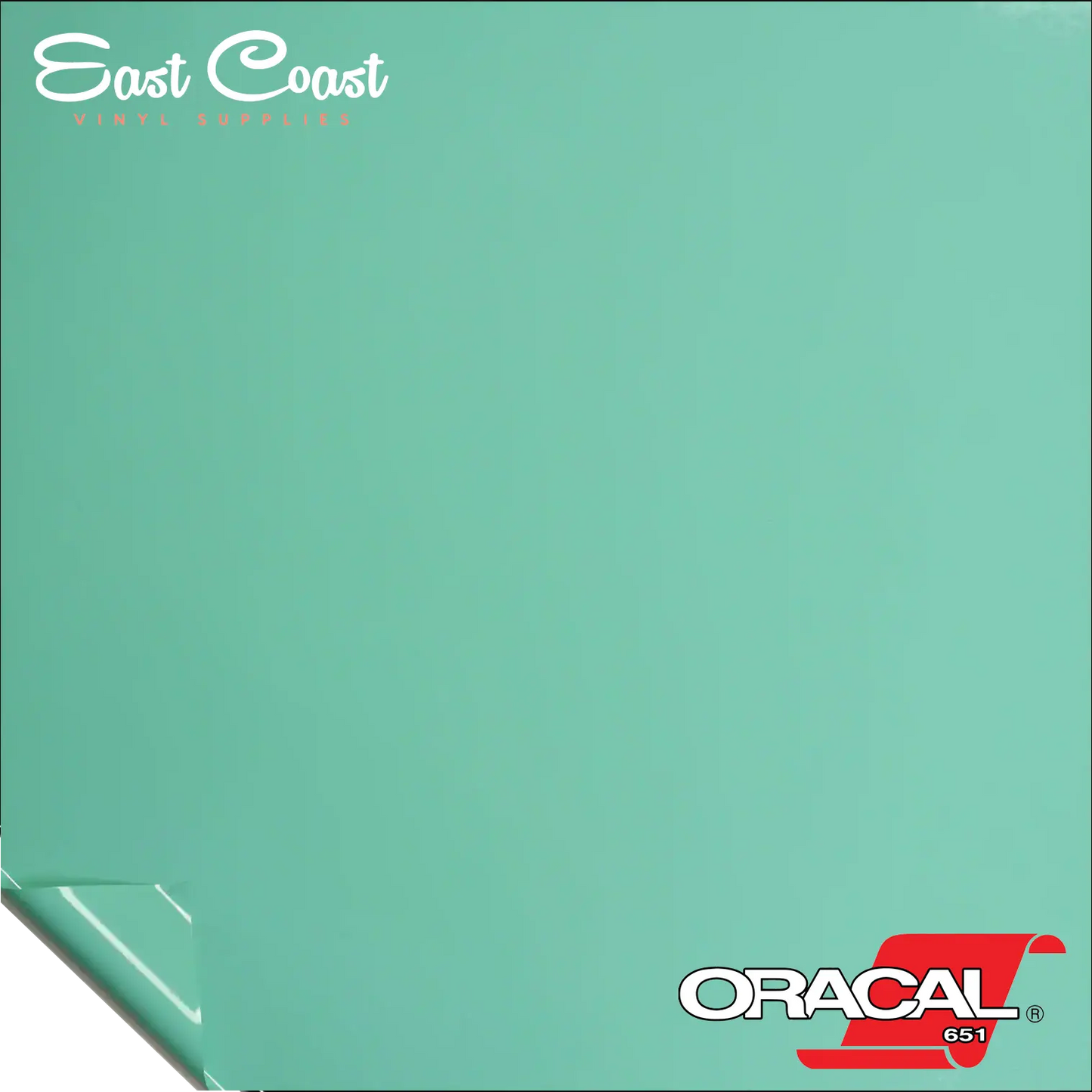 Mint (055) Oracal 651 Vinyl - GLOSSY